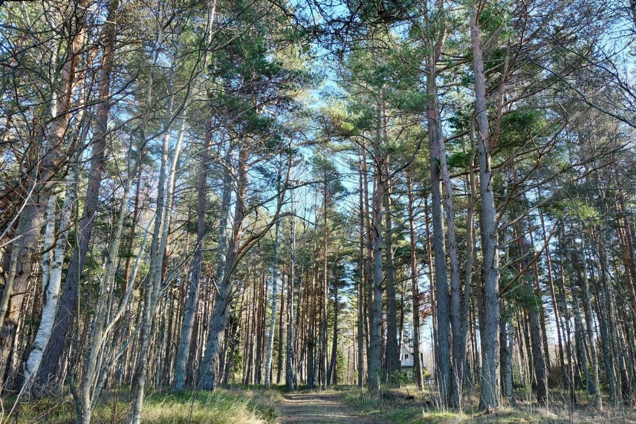 Tahkuna Puhkekeskus Hiiumaa Exteriér fotografie